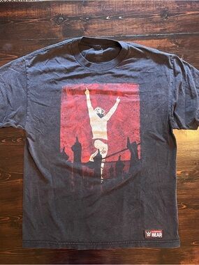 WWE Men's Black Short-Sleeve Graphic Wrestling Tee
